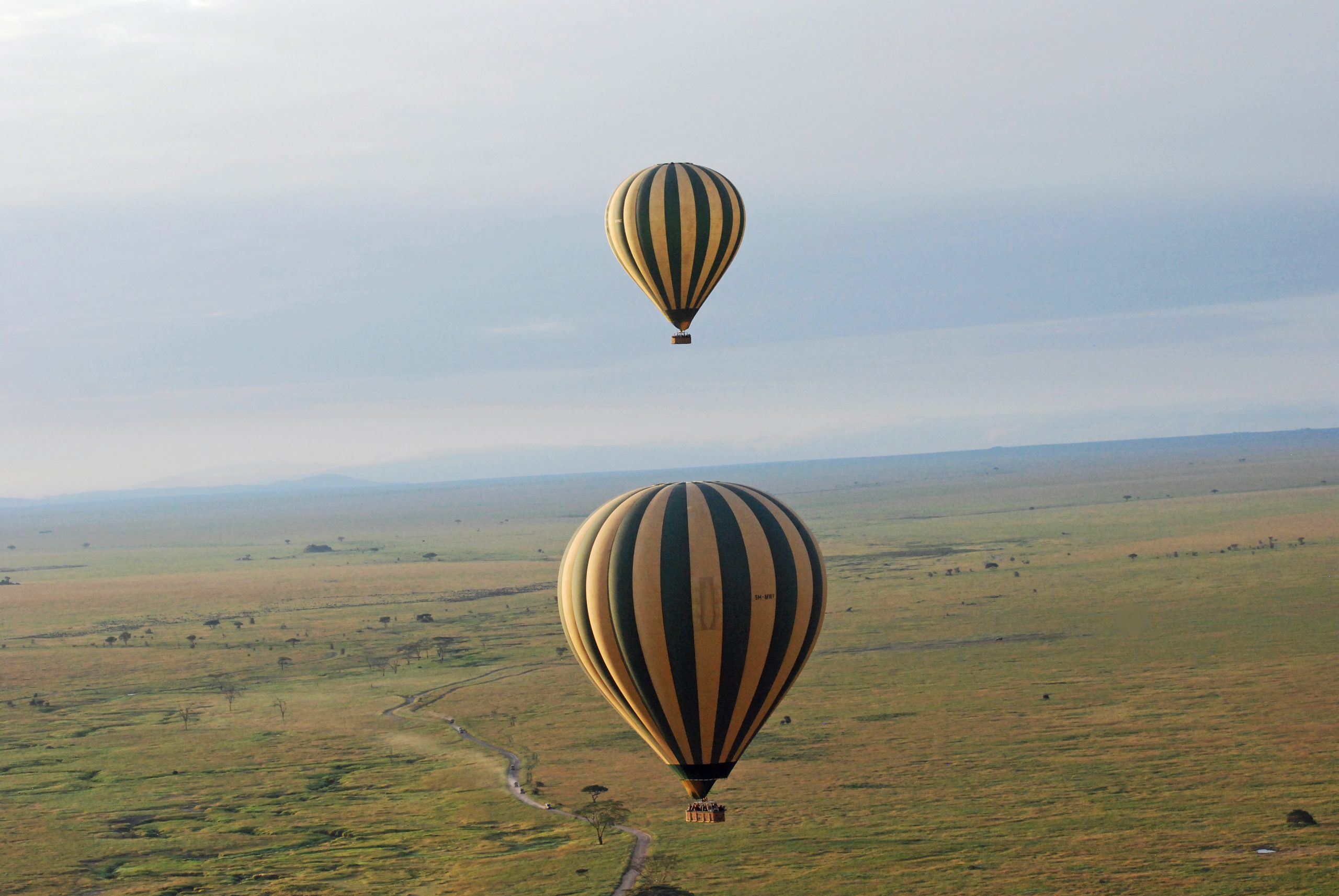 Hot air balloon safari