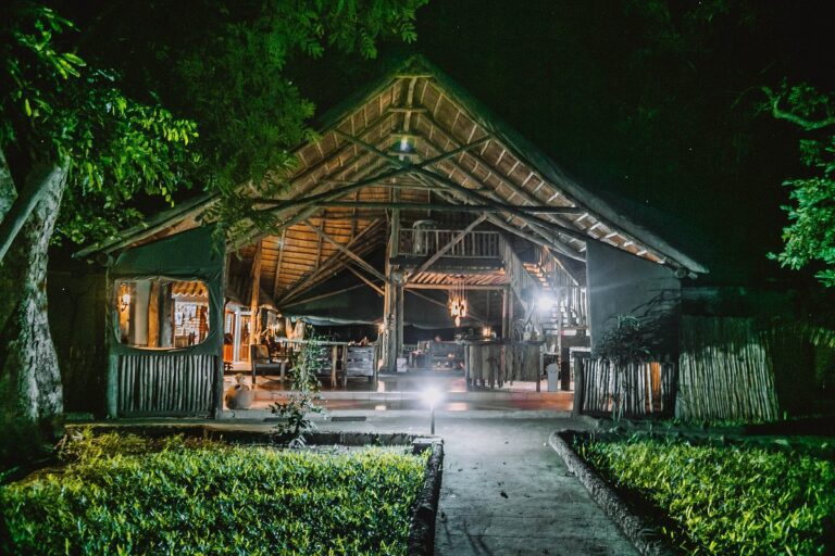 selous-kinga-lodge