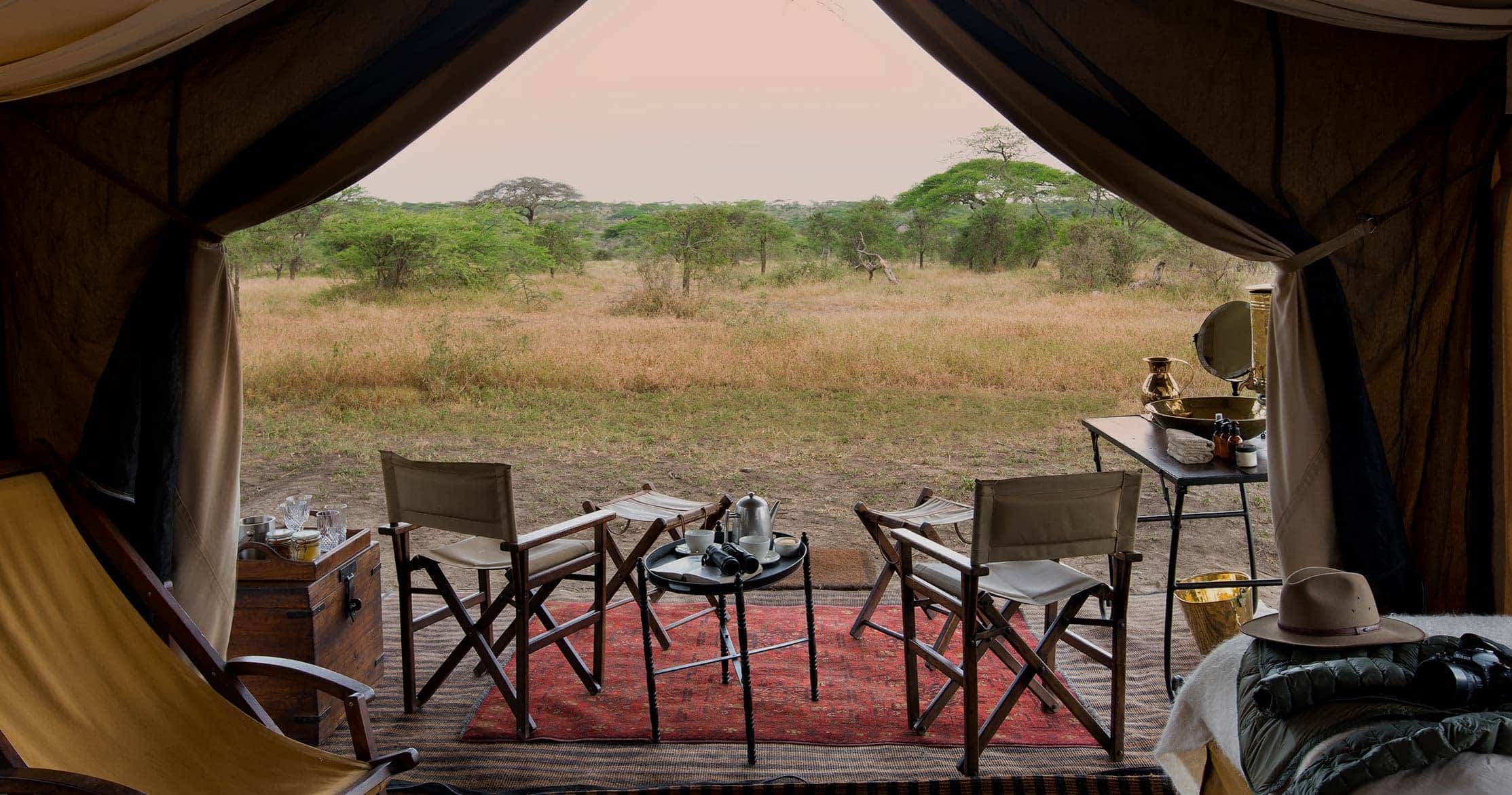 A herd of Elephants drinking water in Serengeti African Safaris - Tanzania