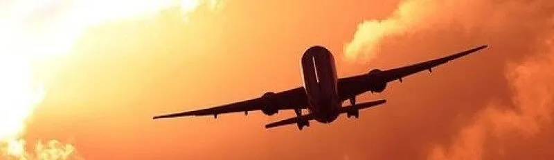 Day 8: Final Game Drive & Departure