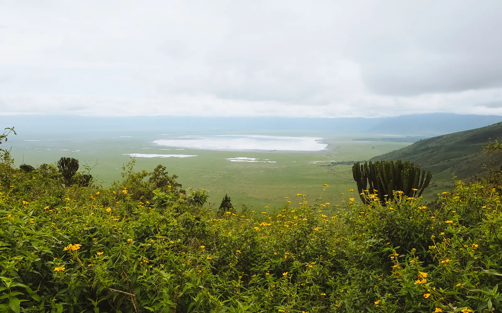 7-Day Off-Peak Tanzania Safari