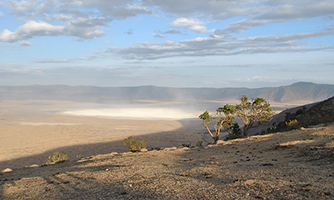 A herd of Elephants drinking water in Serengeti African Safaris - Tanzania